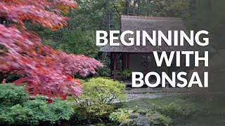 Om at komme i gang med Bonsai video