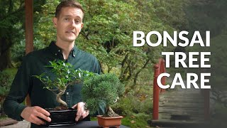 Pasning og vedligeholdelse af Bonsai video