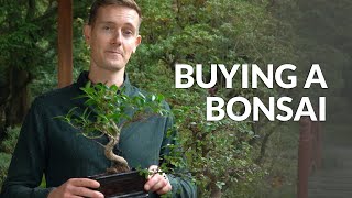 Indkøb af en Bonsai video